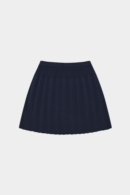Pleated Skirt
