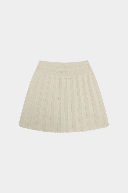 Pleated Skirt