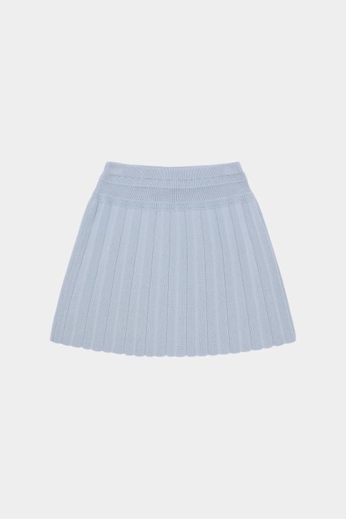Pleated Skirt